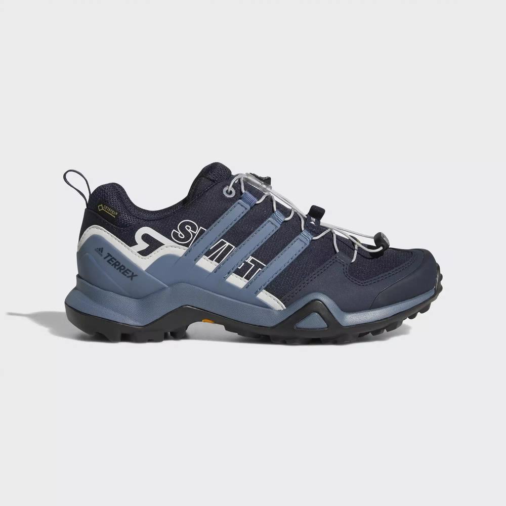 Adidas Terrex Swift R2 GTX Tenis De Seguridad Azules Para Mujer (MX-96896)